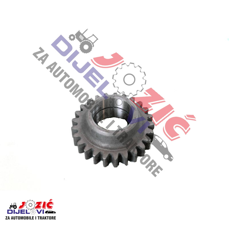 Daisy on the Ohoopee